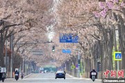 广安共建“花园城市” 北京这场议政会“百花齐放”