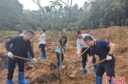广安广州已打造首批32处“绿美宗教活动场所”